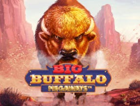 game logo by Skywind Group on hollywins.uk
