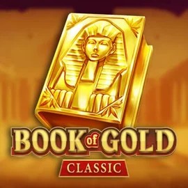 game logo by Playson on hollywins.uk